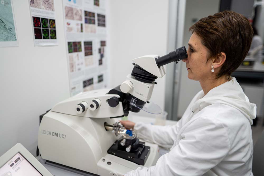 Undiagnosed Diseases