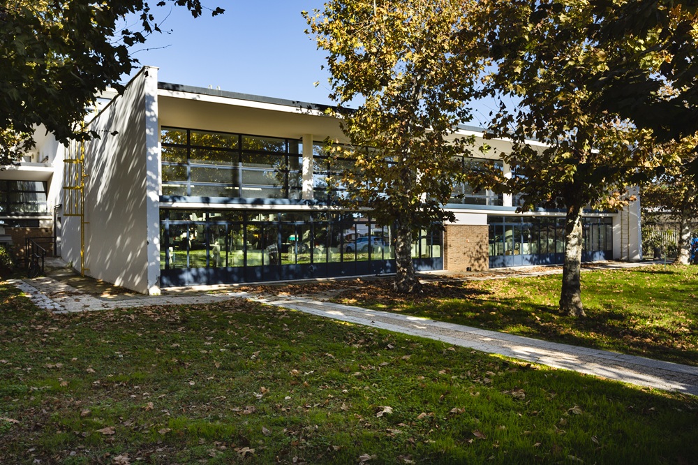 Telethon Institute of Genetics and Medicine