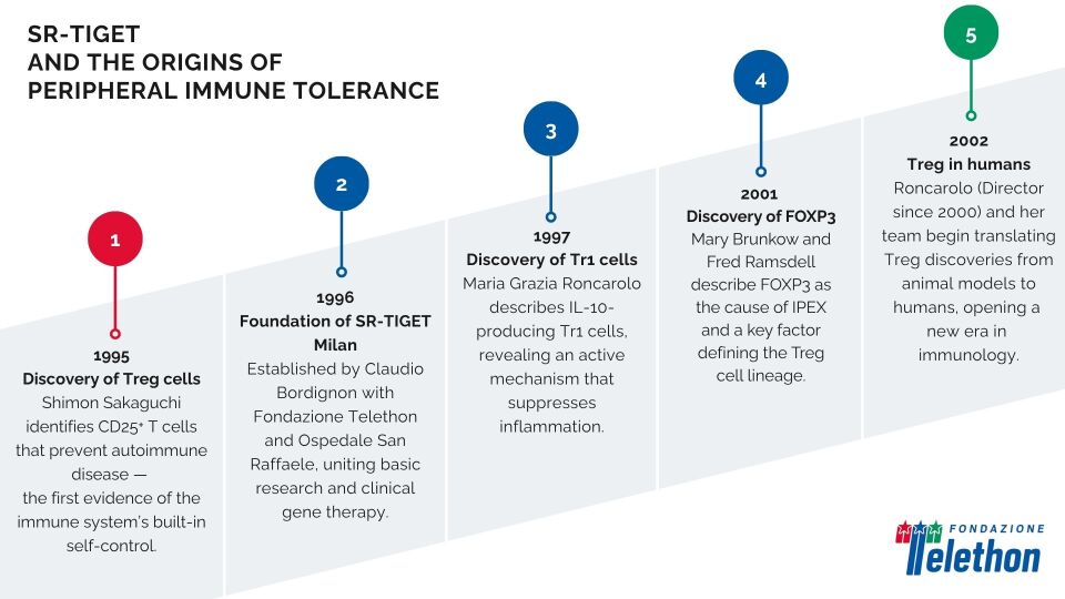Timeline about the origins of peripheral immune tolerance