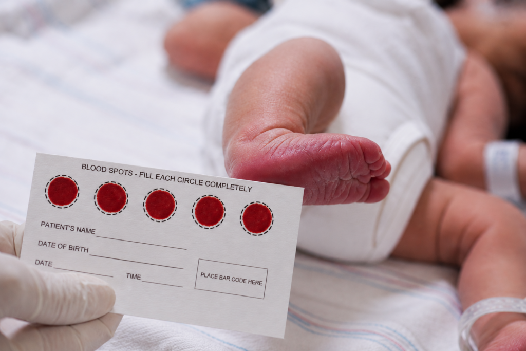 Il cartoncino (Guthrie card) utilizzato per raccogliere i campioni di sangue per lo screening neonatale