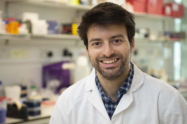Luca Guglielmi